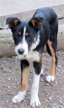 Click for large image