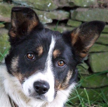 Click for large image