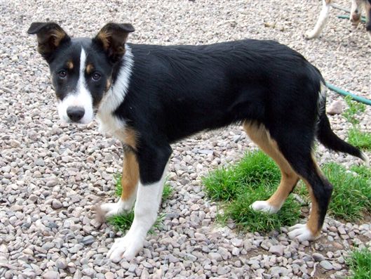 Click for large image