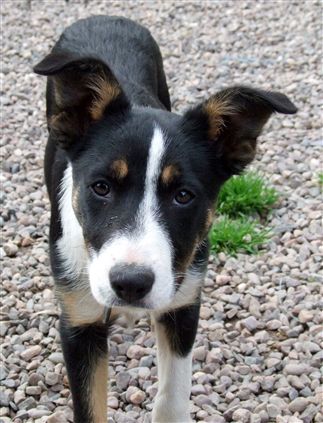 Click for large image