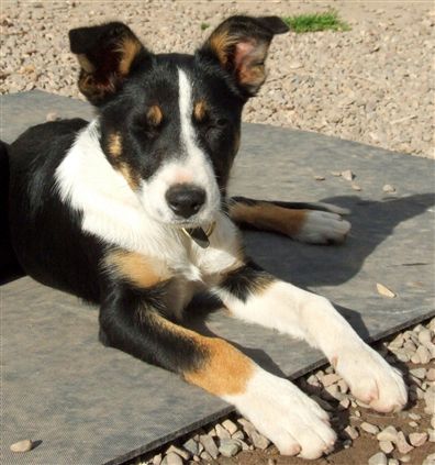 Click for large image