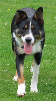 Click for large image