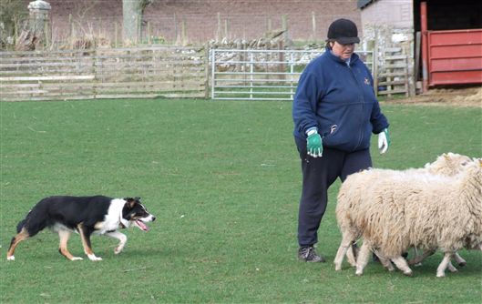 Click for large image