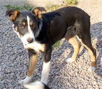 Click for large image