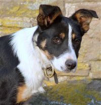 Click for large image