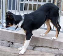 Click for large image