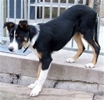 Click for large image