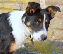 Click for large image