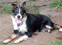 Click for large image