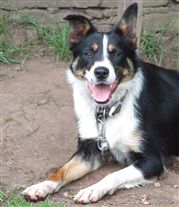 Click for large image